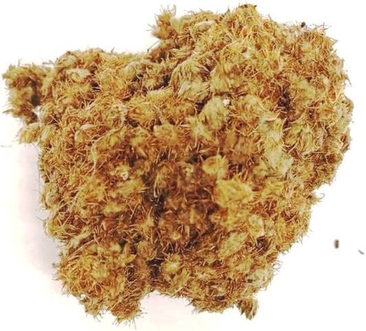 Coller-Serrer (Secret Intime) – Raffermissant Naturel & Bien-être