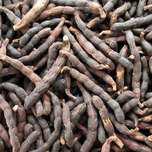 Poivre Long Africain (Uda) - Nettoyage Ancestral & Infusion